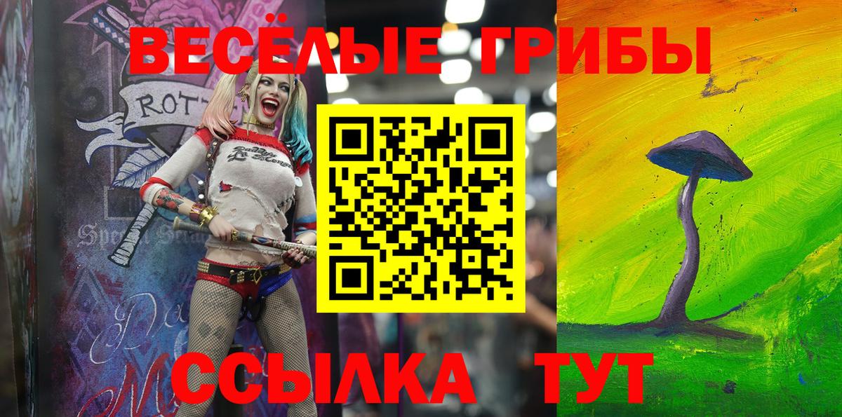 дарнет шоп  Вход с VPN  Галлюциногенные грибы ЛСД  Ялта  Галлюциногенные грибы мухоморы 